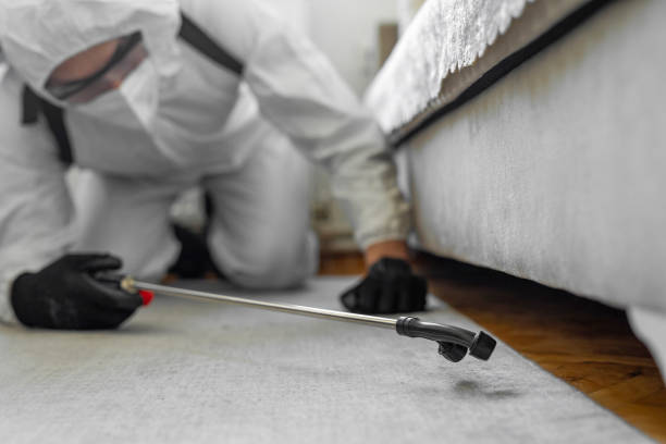 Professional Pest Control technician working in Newport, AR