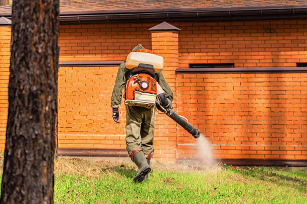 Trusted Emergency Pest Control service in Newport, AR - Nex Pest Control